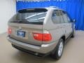 Kalahari Beige Metallic - X5 3.0i Photo No. 9