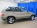 Kalahari Beige Metallic - X5 3.0i Photo No. 10