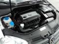 2.0 Liter FSI Turbocharged DOHC 16-Valve 4 Cylinder 2010 Volkswagen Jetta Wolfsburg Edition Sedan Engine