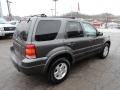 Dark Shadow Grey Metallic - Escape Limited 4WD Photo No. 4