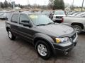 Dark Shadow Grey Metallic - Escape Limited 4WD Photo No. 6