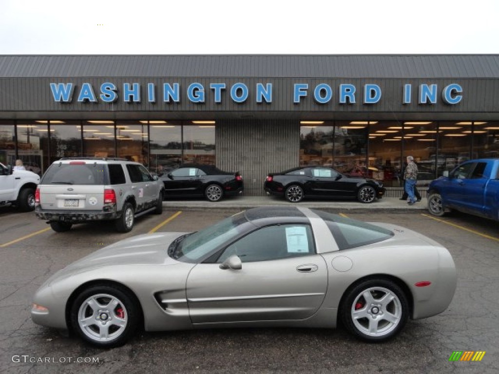 1999 Corvette Coupe - Light Pewter Metallic / Black photo #1