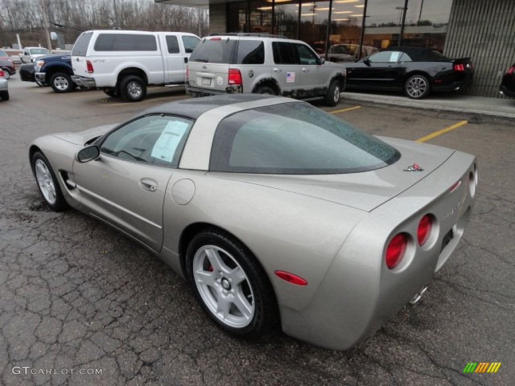 Light Pewter Metallic 1999 Chevrolet Corvette Coupe Exterior Photo #61855326