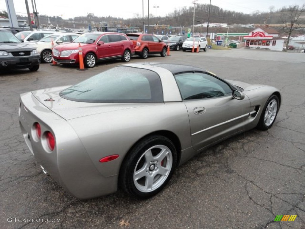 Light Pewter Metallic 1999 Chevrolet Corvette Coupe Exterior Photo #61855344