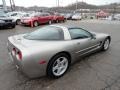 Light Pewter Metallic 1999 Chevrolet Corvette Coupe Exterior