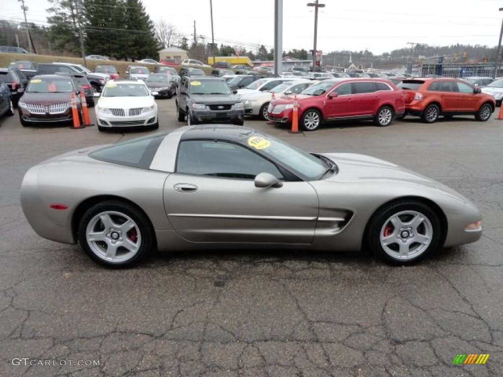 Light Pewter Metallic 1999 Chevrolet Corvette Coupe Exterior Photo #61855353