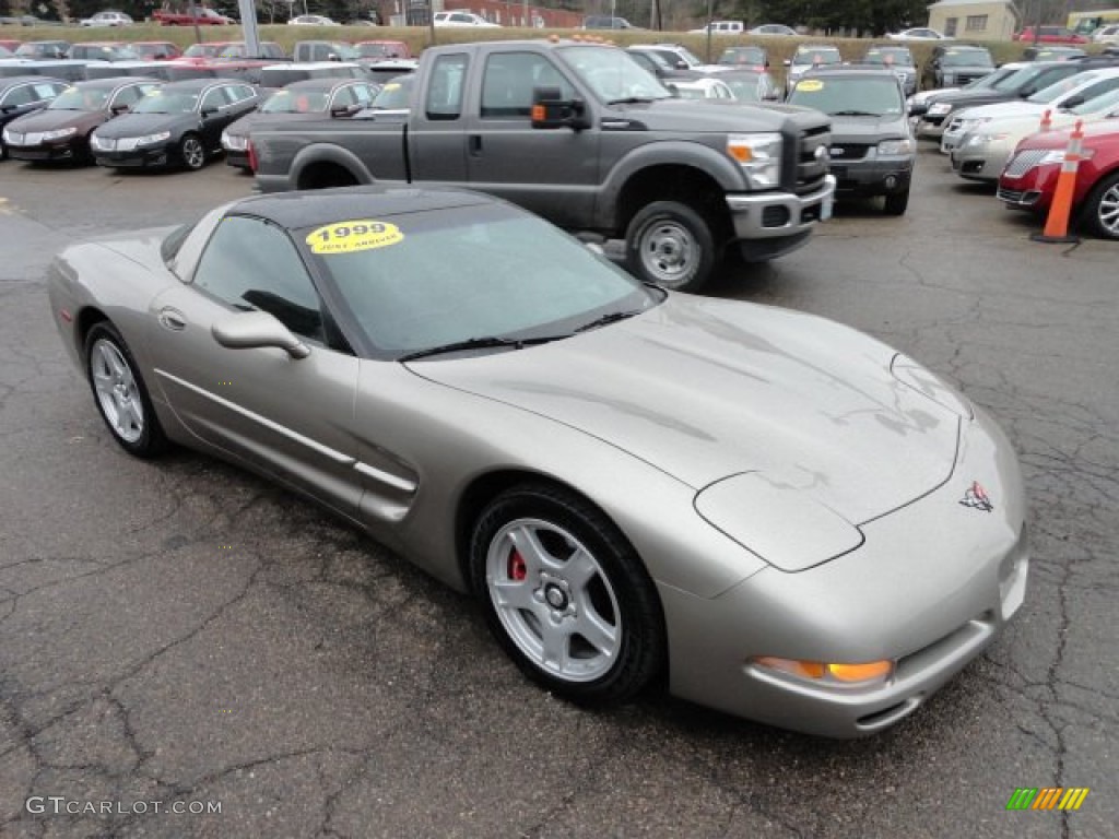 Light Pewter Metallic 1999 Chevrolet Corvette Coupe Exterior Photo #61855362