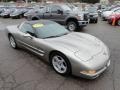 1999 Light Pewter Metallic Chevrolet Corvette Coupe  photo #6