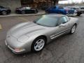 1999 Light Pewter Metallic Chevrolet Corvette Coupe  photo #8