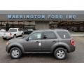 Sterling Gray Metallic - Escape XLT Photo No. 1