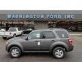 2012 Sterling Gray Metallic Ford Escape XLT  photo #1