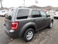 2012 Sterling Gray Metallic Ford Escape XLT  photo #4