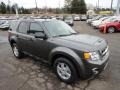 2012 Sterling Gray Metallic Ford Escape XLT  photo #6