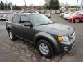 Sterling Gray Metallic - Escape XLT Photo No. 6