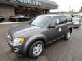 2012 Sterling Gray Metallic Ford Escape XLT  photo #8