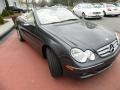 Steel Grey Metallic - CLK 350 Cabriolet Photo No. 2