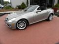 Pewter Metallic - SLK 300 Roadster Photo No. 1