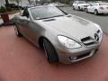 Pewter Metallic - SLK 300 Roadster Photo No. 2
