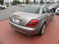 Pewter Metallic - SLK 300 Roadster Photo No. 9