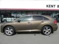 Golden Umber Mica - Venza V6 AWD Photo No. 25