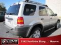 Satin Silver Metallic - Escape XLT V6 4WD Photo No. 3