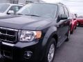 2008 Black Pearl Slate Metallic Ford Escape Hybrid 4WD  photo #2