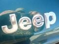 2003 Timberline Green Metallic Jeep Liberty Limited 4x4  photo #40