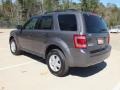 Sterling Gray Metallic - Escape XLT Photo No. 8