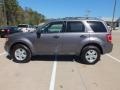 Sterling Gray Metallic - Escape XLT Photo No. 9