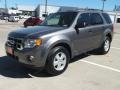 Sterling Gray Metallic - Escape XLT Photo No. 10