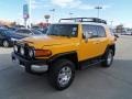 Sun Fusion 2007 Toyota FJ Cruiser 4WD Exterior