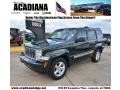 Natural Green Pearl 2010 Jeep Liberty Limited