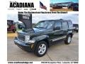 2010 Natural Green Pearl Jeep Liberty Limited  photo #1