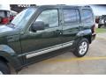 2010 Natural Green Pearl Jeep Liberty Limited  photo #11