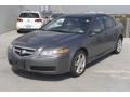 Anthracite Metallic 2004 Acura TL 3.2 Exterior