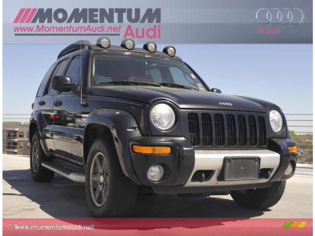 Black Clearcoat Jeep Liberty