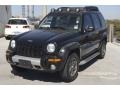 Black Clearcoat - Liberty Renegade 4x4 Photo No. 3