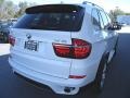 Alpine White - X5 xDrive35i Photo No. 6
