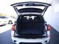 Alpine White - X5 xDrive35i Photo No. 9