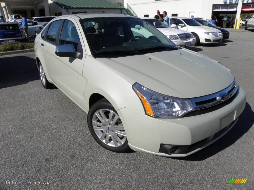 Natural Neutral Metallic 2010 Ford Focus SEL Sedan Exterior Photo #61892475