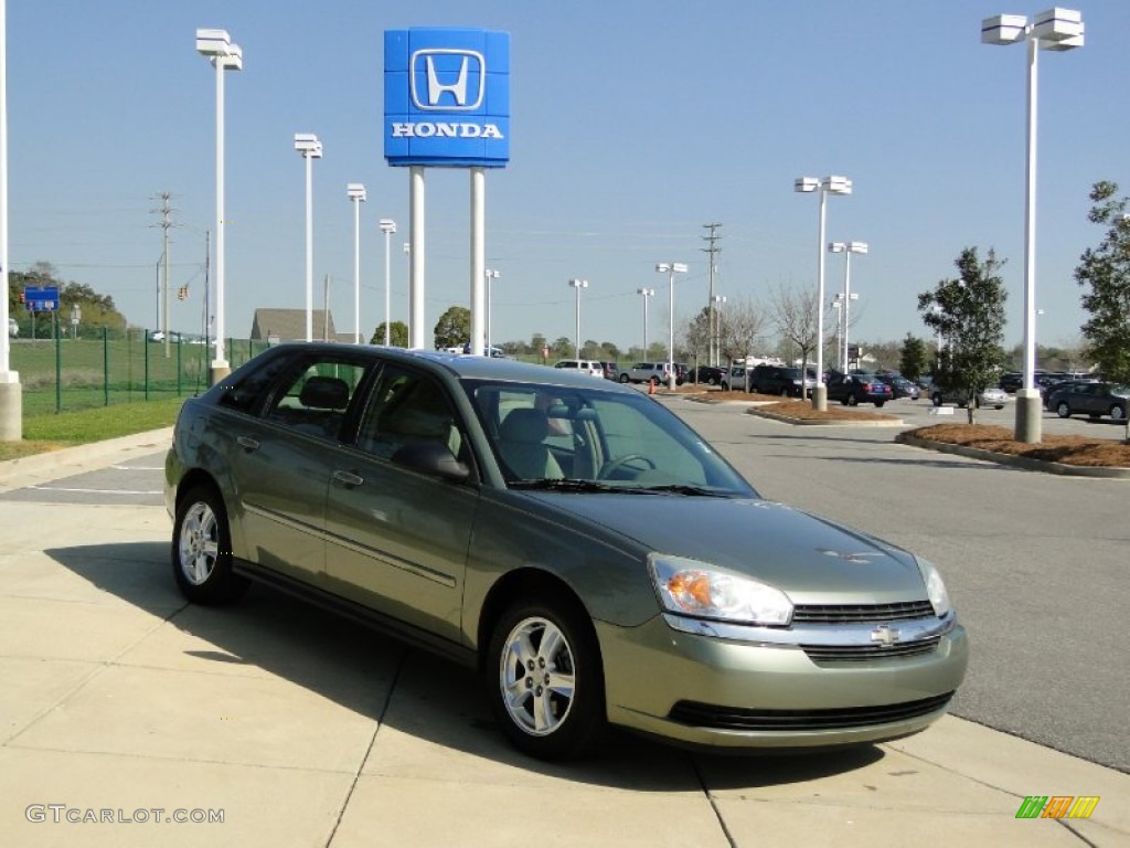 2005 Malibu Maxx LS Wagon - Silver Green Metallic / Neutral Beige photo #2