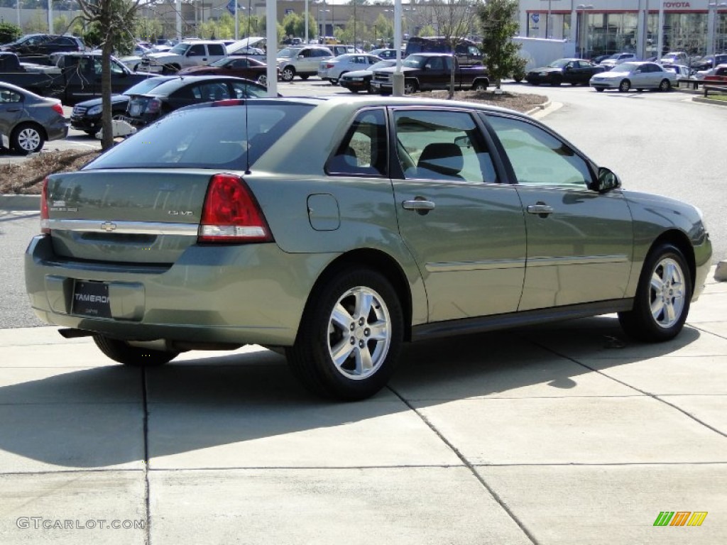 2005 Malibu Maxx LS Wagon - Silver Green Metallic / Neutral Beige photo #5
