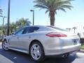 Platinum Silver Metallic - Panamera S Photo No. 8