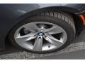 2009 Platinum Grey Metallic BMW 5 Series 528i Sedan  photo #2