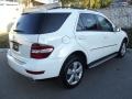 2009 Arctic White Mercedes-Benz ML 350  photo #4