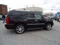 Black Raven - Escalade AWD Photo No. 7