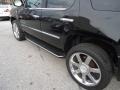 Black Raven - Escalade AWD Photo No. 49