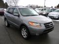 Steel Gray 2008 Hyundai Santa Fe SE 4WD