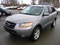 Steel Gray - Santa Fe SE 4WD Photo No. 2