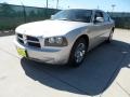 Bright Silver Metallic - Charger SXT Photo No. 7